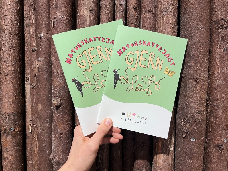 Naturskattejagt Gjern
