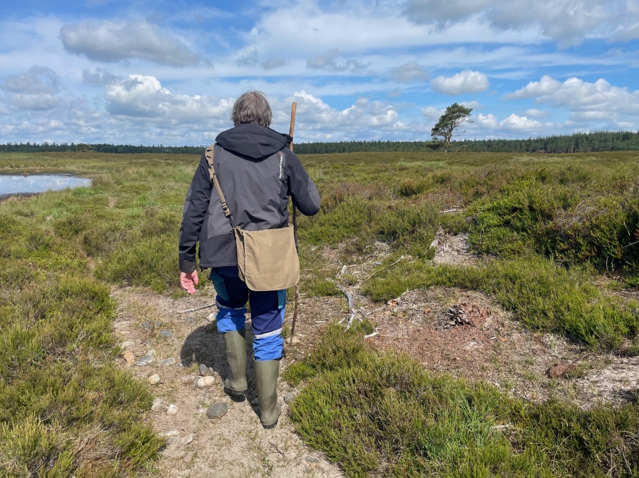 En mand går på en grøn hede i et åbent landskab